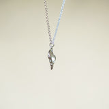Shell Necklace - Silver