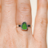 Green Sea Glass - Size N