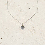 Shell Necklace