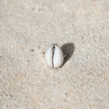 Cowrie Shell Ring