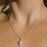 Shell Necklace