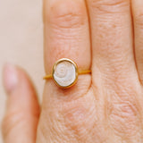 Shiva Shell Ring, Gold Vermeil - Size Q