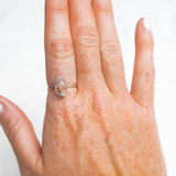 Conch Shell Ring - Size P