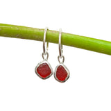 Red Sea Glass Hoops