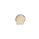 Shell Ring Size - N 1/2