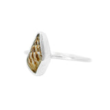Conch Shell Ring - Size N