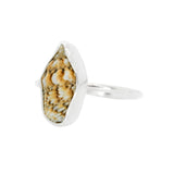 Conch Shell Ring - Size P