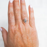 Conch Shell Ring - Size N
