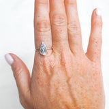 Conch Shell Ring - Size Q