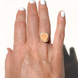 Shiva Shell Ring Size - O