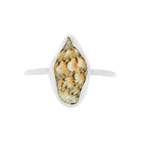 Conch Shell Ring - Size P