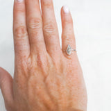 Conch Shell Ring - Size I (i)