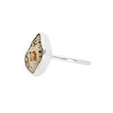 Conch Shell Ring - Size P