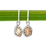 Shell Earrings