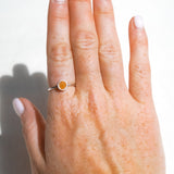 Shiva Shell Ring - Size O