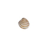 Shell Ring Size - L 1/2