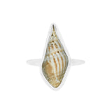 Conch Shell Ring - Size O