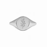Olive Signet