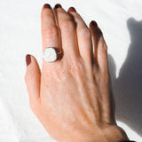 Shiva Shell Ring Size - S