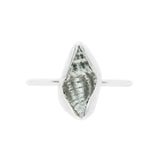 Conch Shell Ring - Size Q