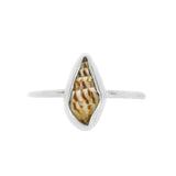 Conch Shell Ring - Size N
