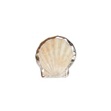 Shell Ring Size - N 1/2