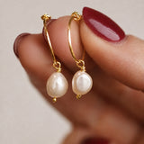 Statement Pearl Hoops - Gold Vermeil