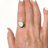 Shiva Shell Ring Size - P 1/2