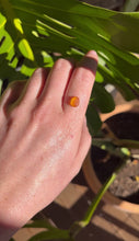Load and play video in Gallery viewer, Custom - Orange Sea Glass
