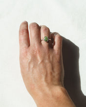 Load image into Gallery viewer, Tasmanian Jade Stone - Size M
